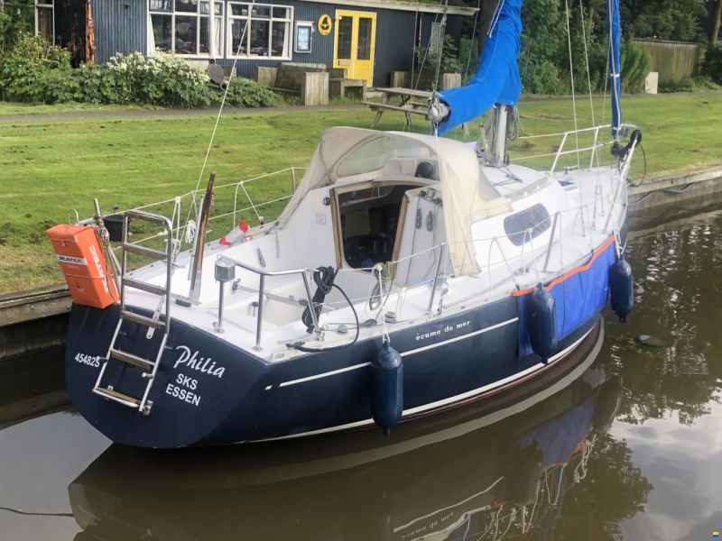 Mallard Ecume de Mer