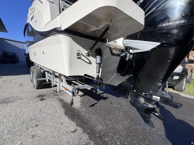 Quicksilver Activ 805 Cruiser
