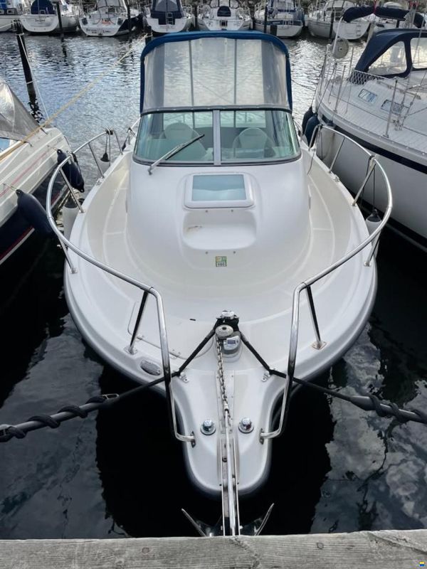 Bayliner Trophy
