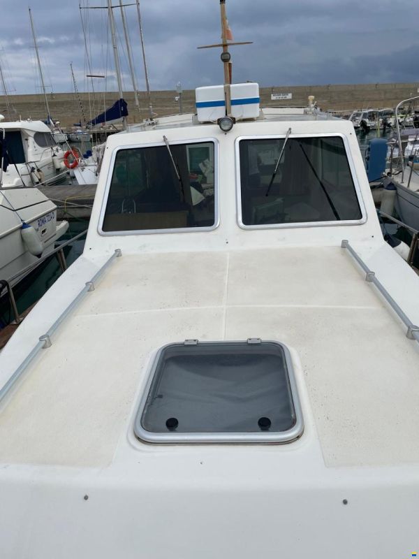 Sciallino 33