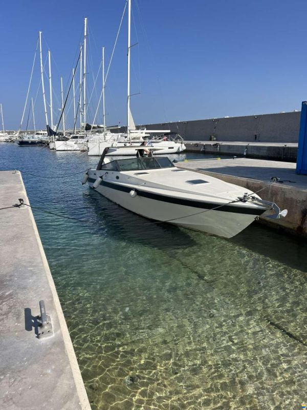 Cigala & Bertinetti Shark 43