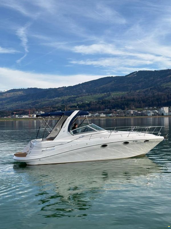 Four Winns Vista 318