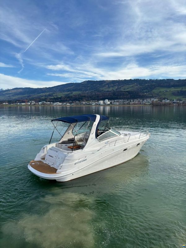 Four Winns Vista 318