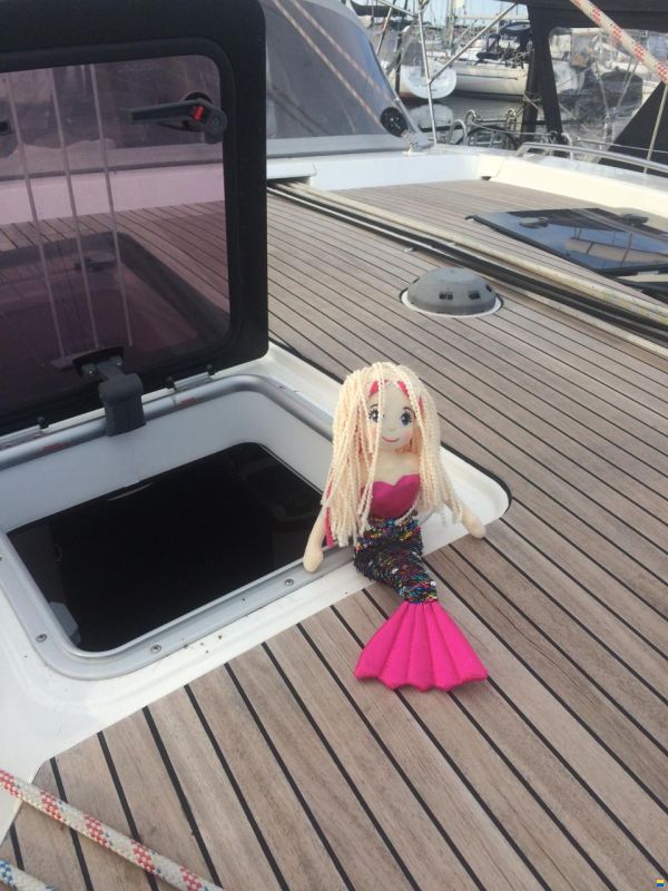 Bavaria Vision 46