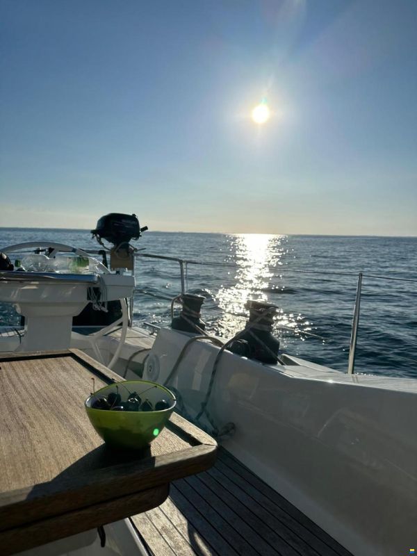 Bavaria Vision 46