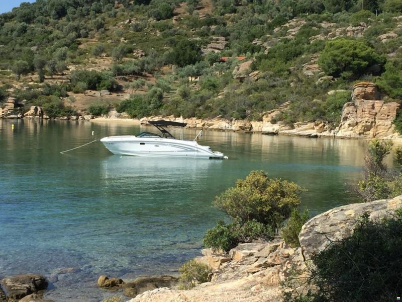 Sea Ray 270 SD