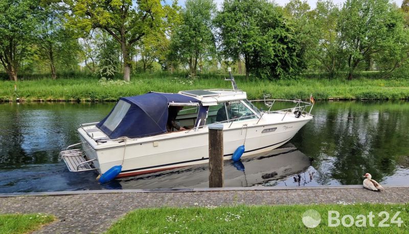 Sea Ray SRV 240