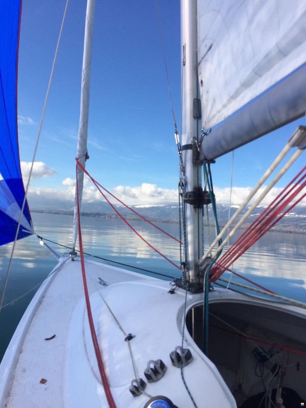 Archambault Sprinto quillard