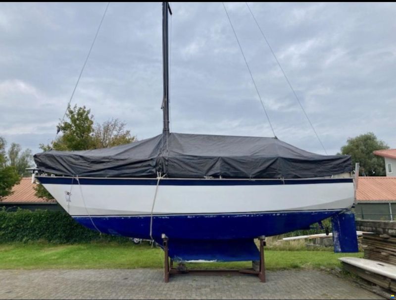 Wibo van Wijk 945