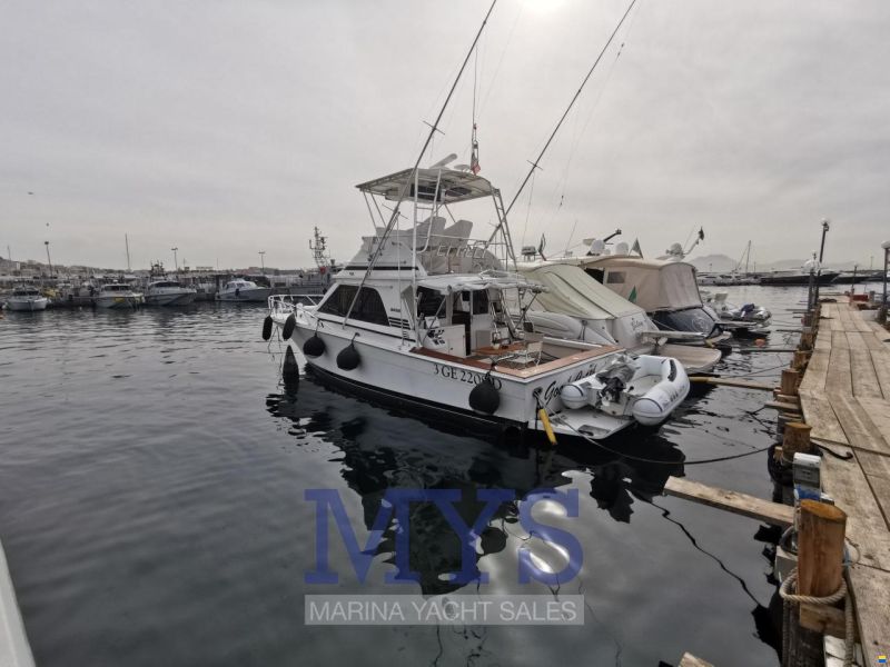 Blackfin 38 convertible