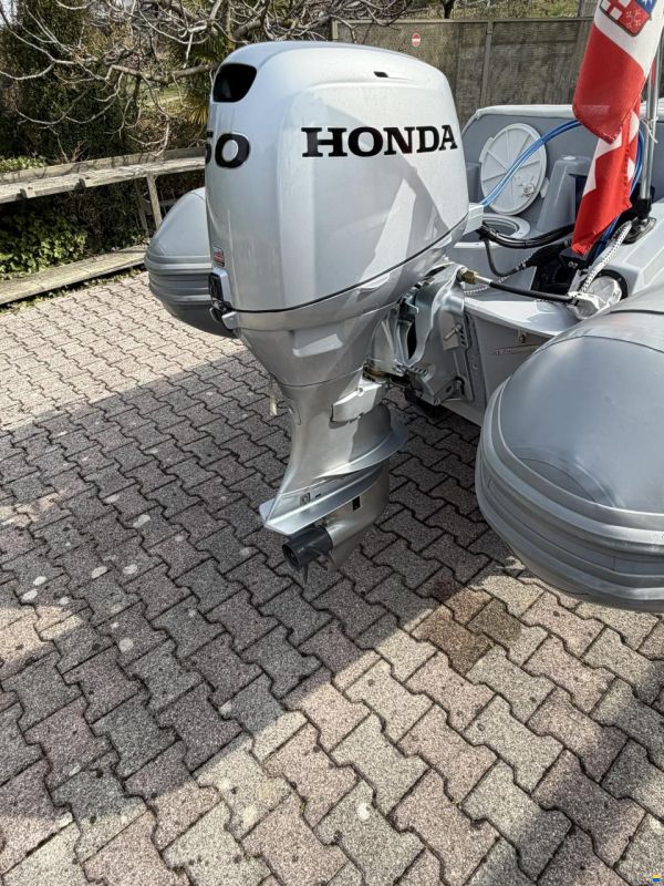 Caribe CL-13 Honda BF 50 LRTU