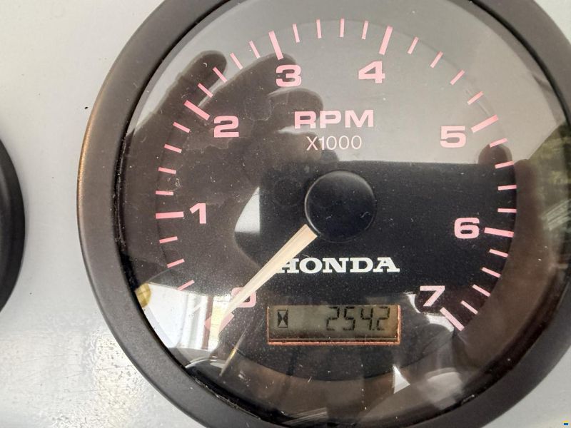 Caribe CL-13 Honda BF 50 LRTU