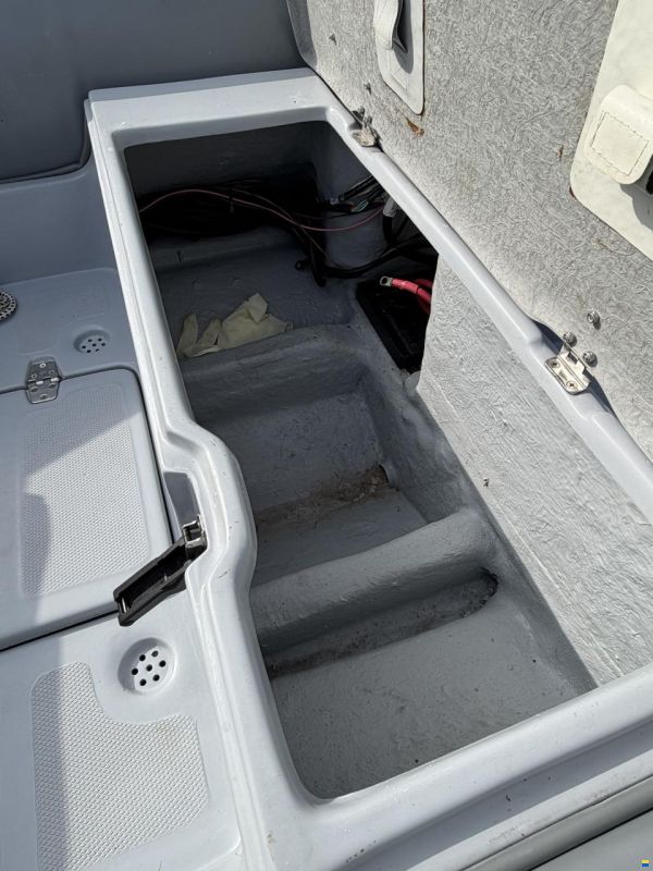 Caribe CL-13 Honda BF 50 LRTU