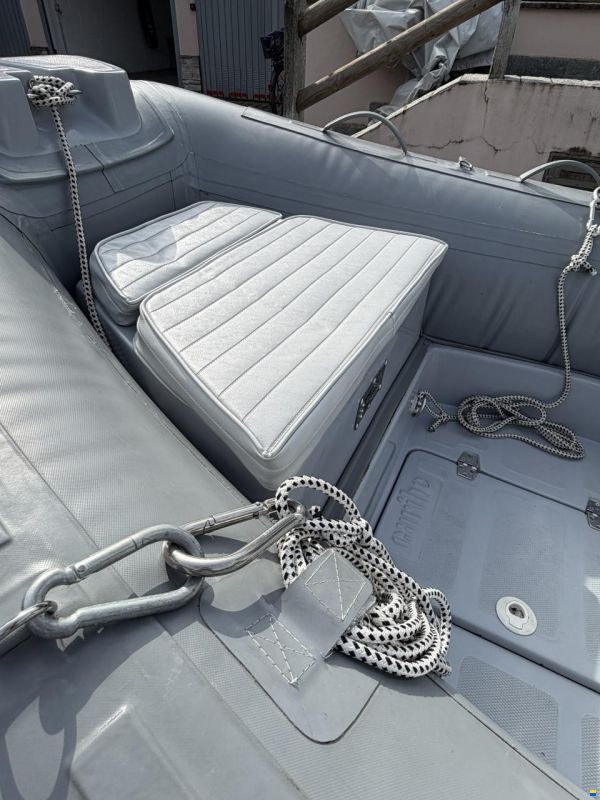 Caribe CL-13 Honda BF 50 LRTU