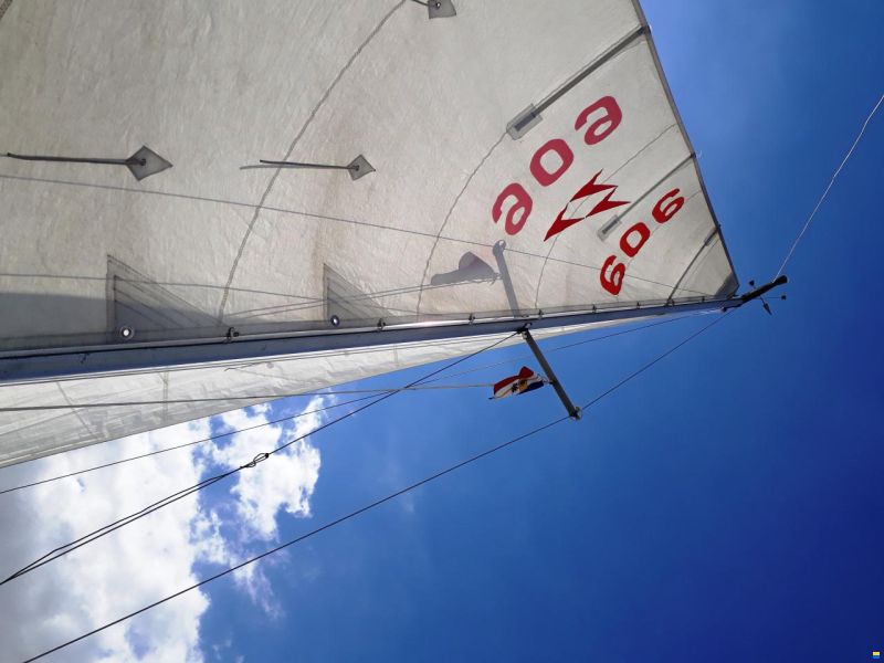 BWC Flaying Cruiser C