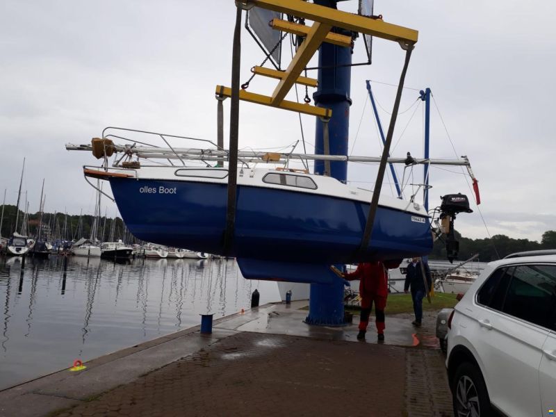 BWC Flaying Cruiser C