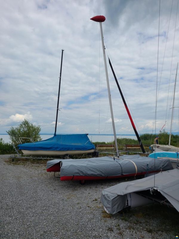 GRABNER Happy Cat Hurricane