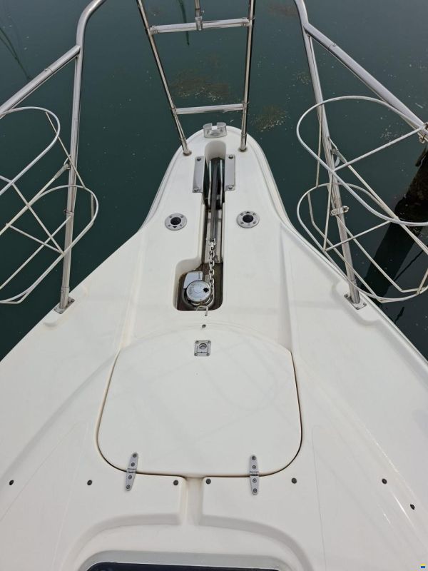 Sealine 310 Fly