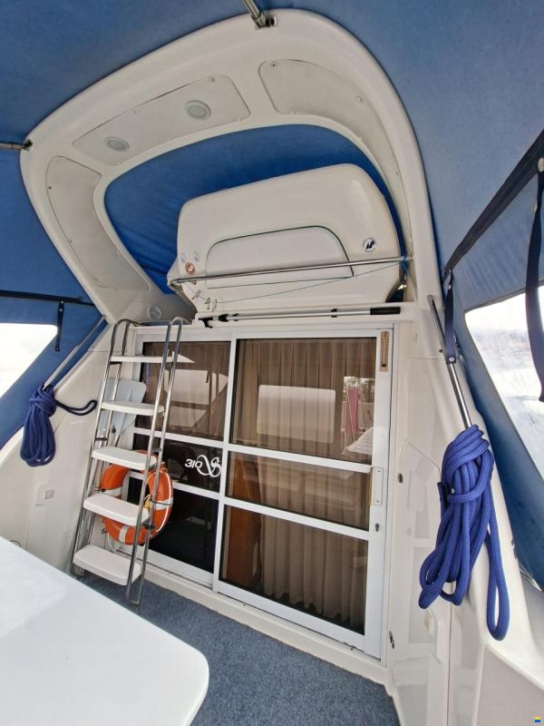 Sealine 310 Fly