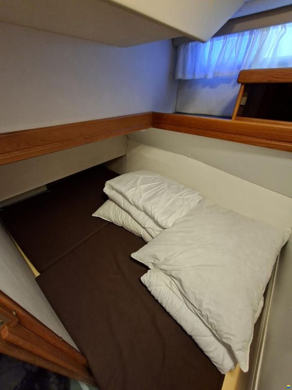 Sealine 310 Fly