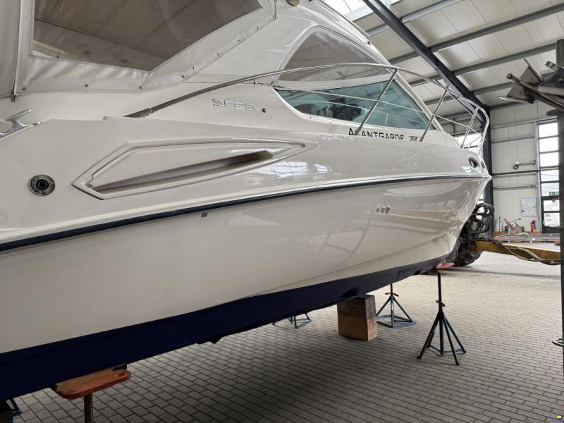 Sealine Sc29