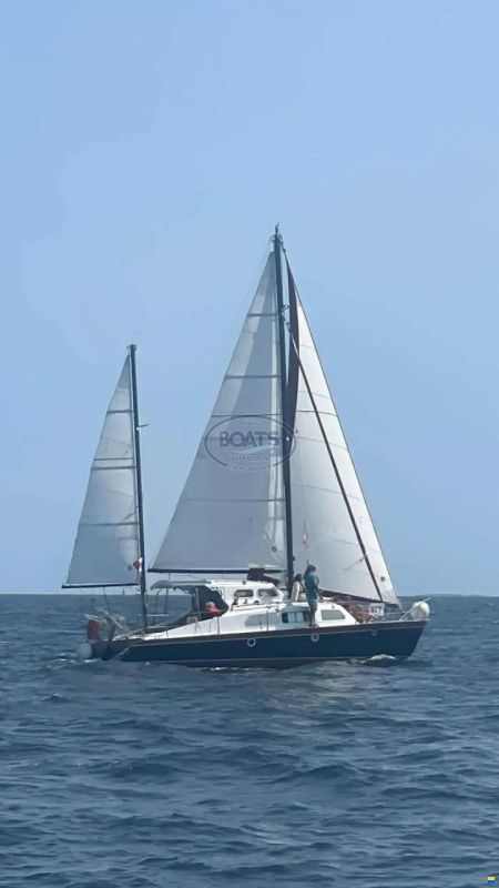 South Coast Catamaran OCEANIC 30