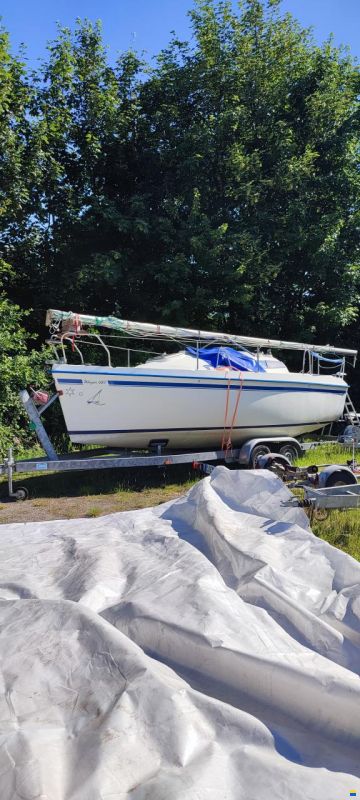 Weyer 680 Suppernova