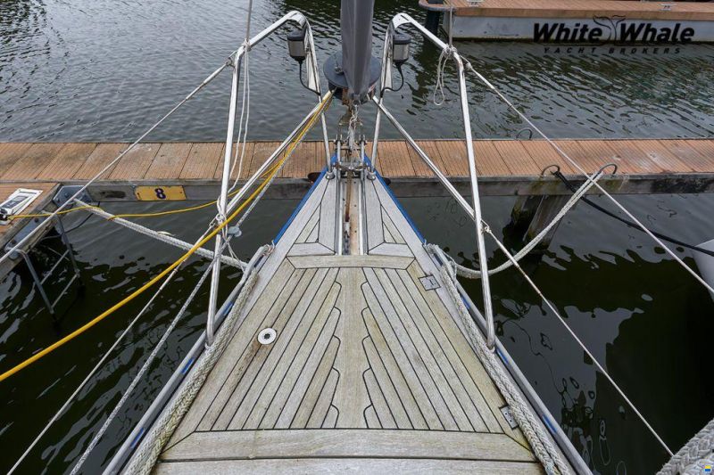 Northern Comfort 43