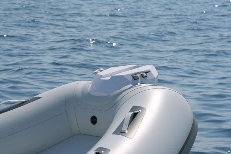 Ranieri GOMMONE RANIERI CAYMAN 19 ESPOSITIVO 202