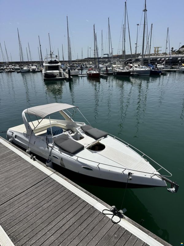 Real Power Boats Power 29