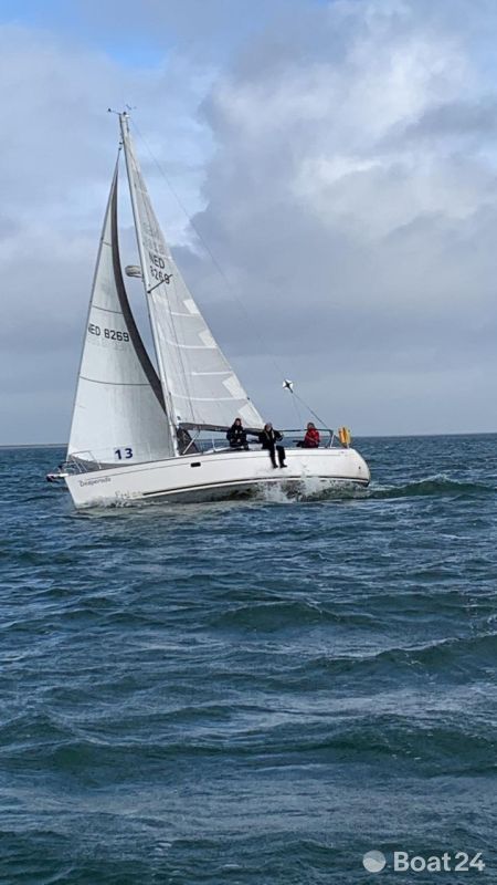 Alliaura Feeling 32 DI