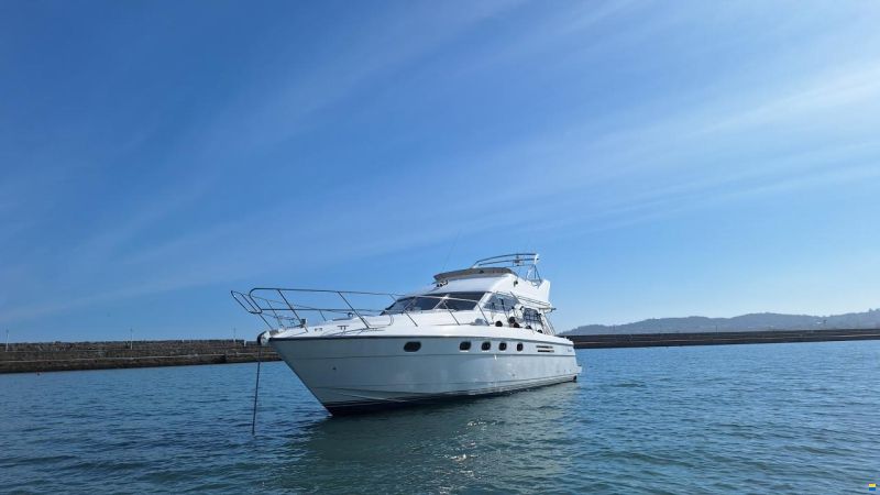 Princess 480
