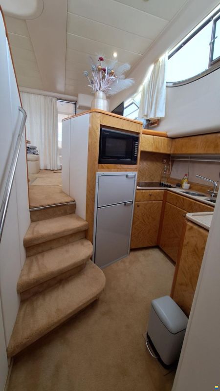 Princess 480