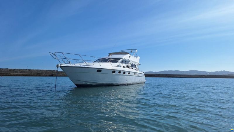 Princess 480