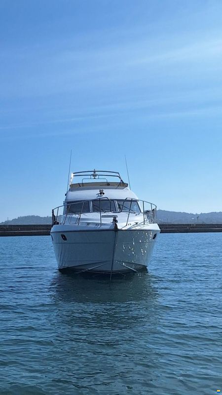 Princess 480