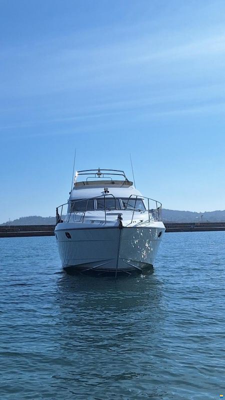 Princess 480