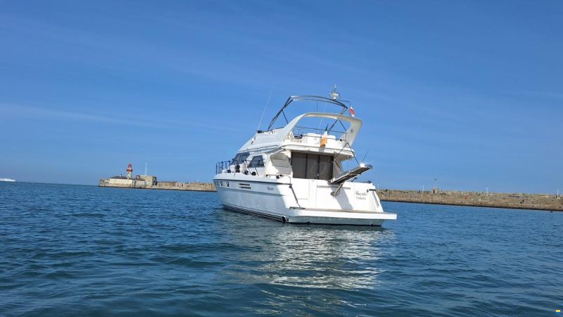 Princess 480