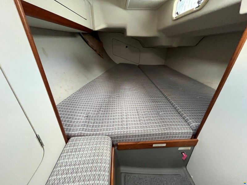 Dehler 36 cws