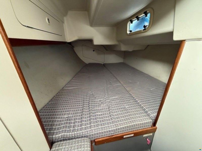 Dehler 36 cws