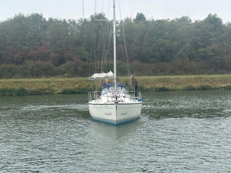 Dehler 36 cws