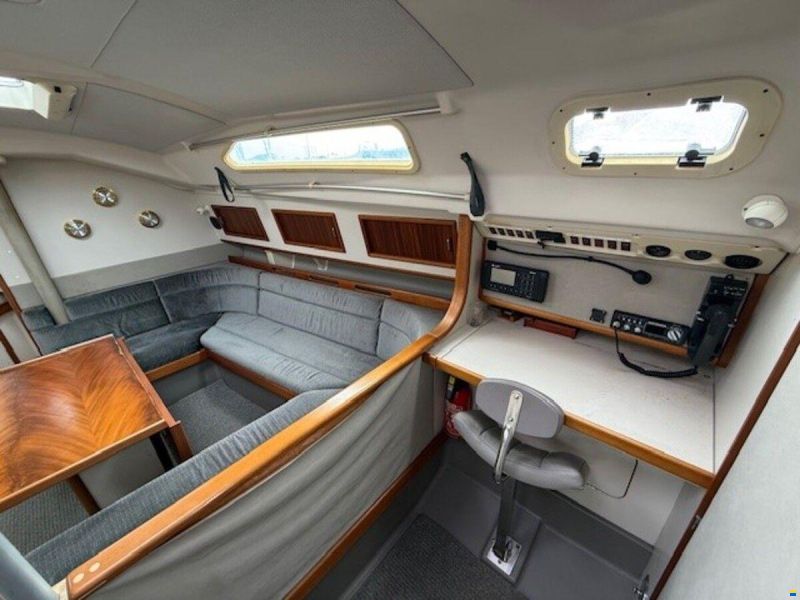 Dehler 36 cws
