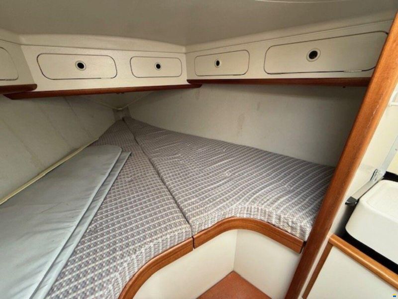 Dehler 36 cws