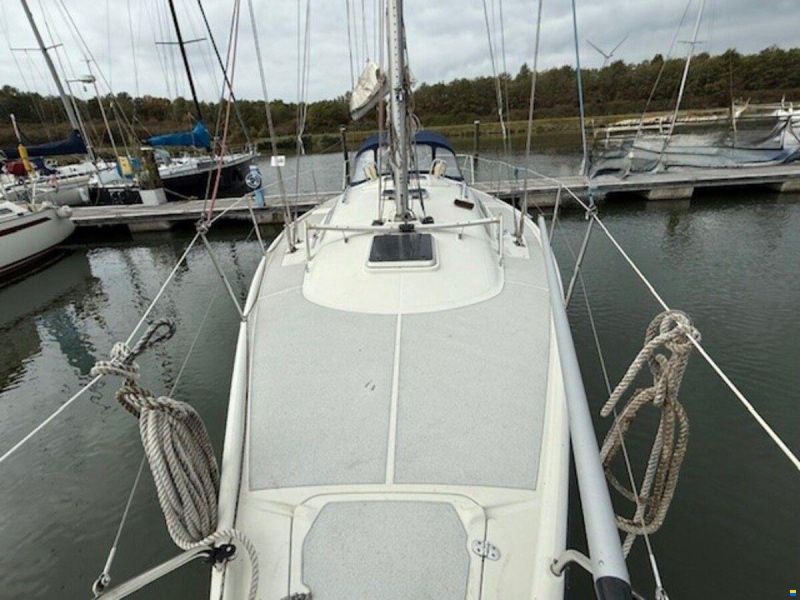 Dehler 36 cws