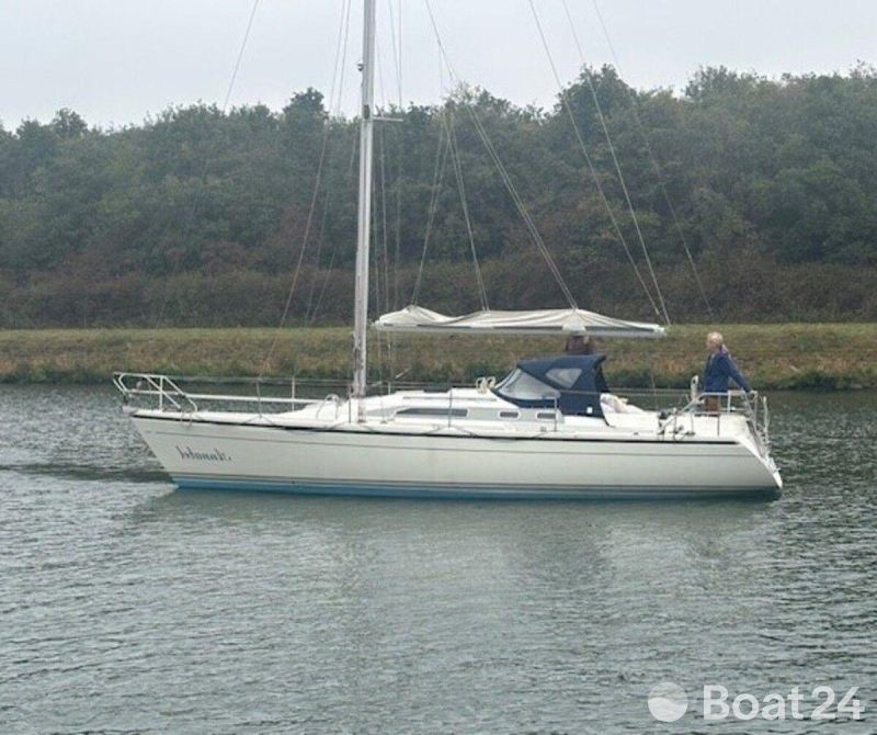 Dehler 36 cws 03.jpg