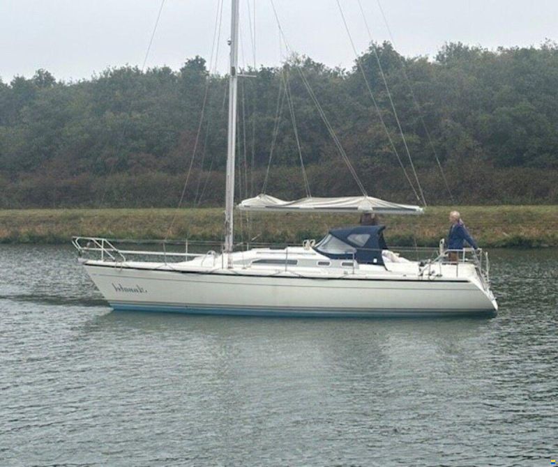 Dehler 36 cws