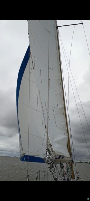Jachtbouw Noord Nederland Seahawk 30