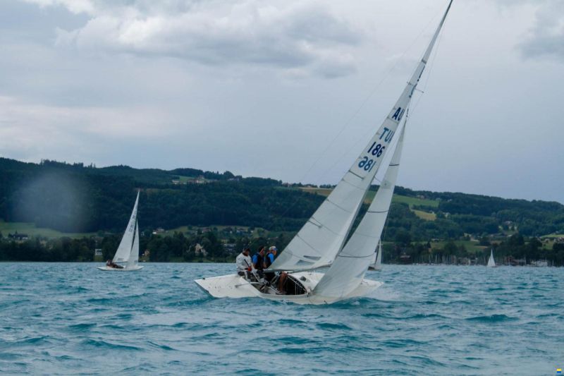 Drachen Royal Denship BJ 2005