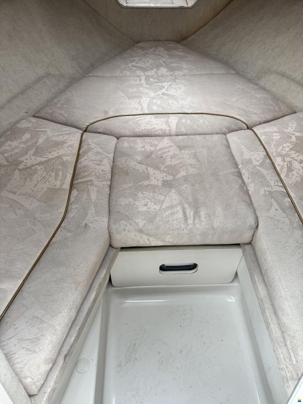 Sea Ray 230 OV signature