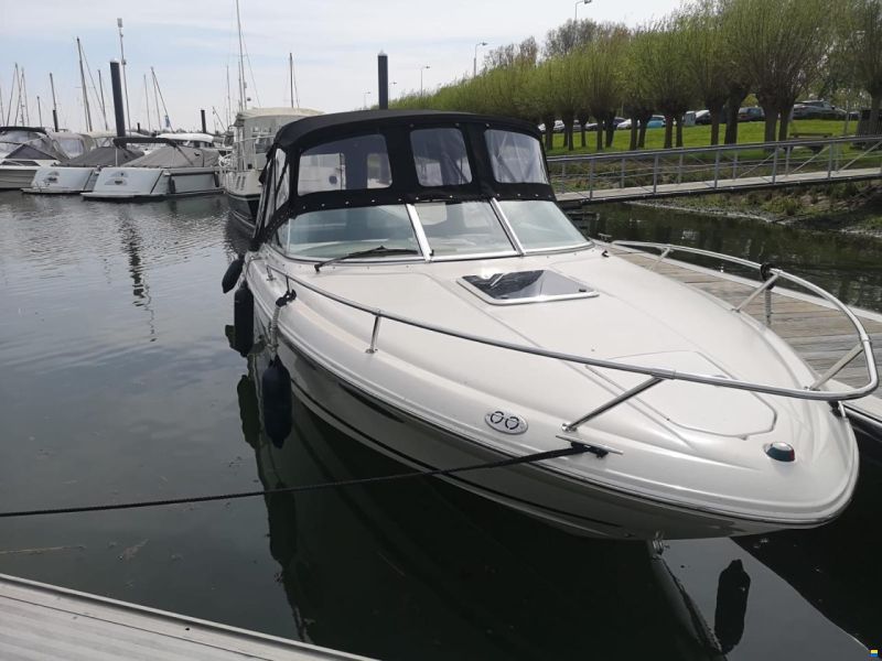 Sea Ray 230 OV signature