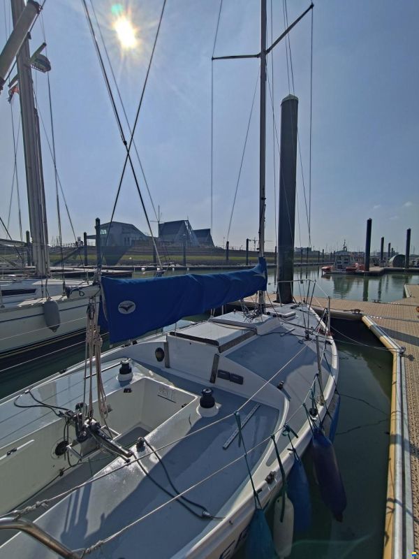 Westerly J24